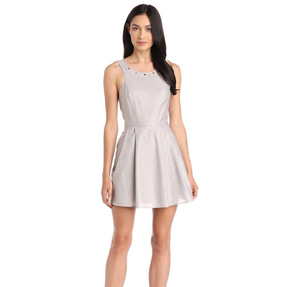 Silver Dress With Rose Gold Studs